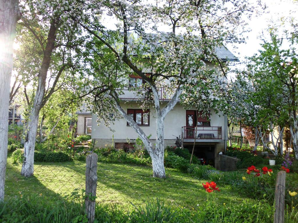Guest House Krga Korenica Ngoại thất bức ảnh